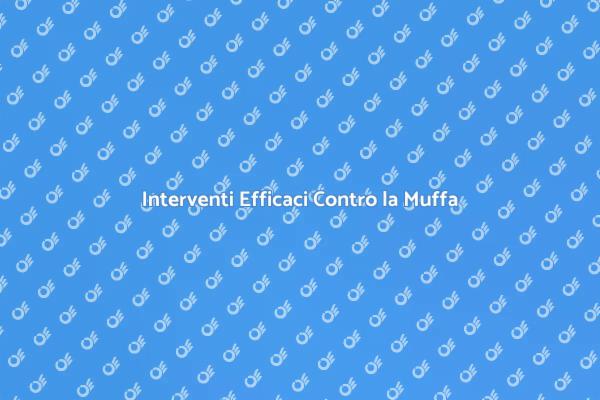 Muffa: Come Rimuoverla E Prevenirla