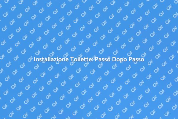 Installazione Facile della Toilette
