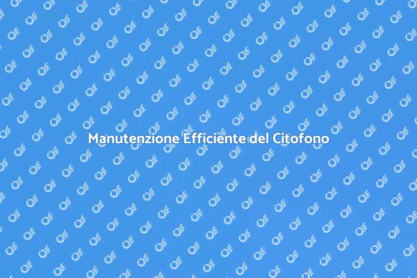 Manutenzione del Citofono: Perché è Fondamentale
