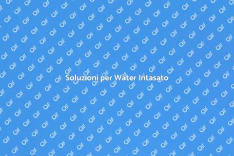 Disotturare il Water Intasato