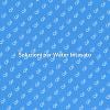 Come Risolvere un Water Intasato