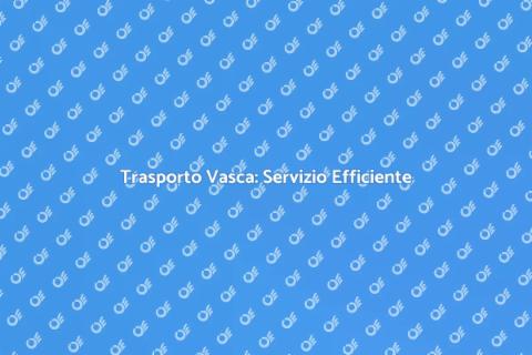 Trasporto Vasca: Guida Completa