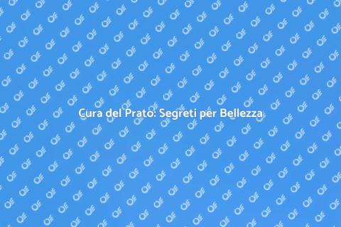 Prato Ben Tenuto per un Giardino Perfetto