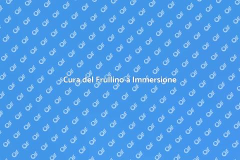 Manutenzione Frullino a Immersione