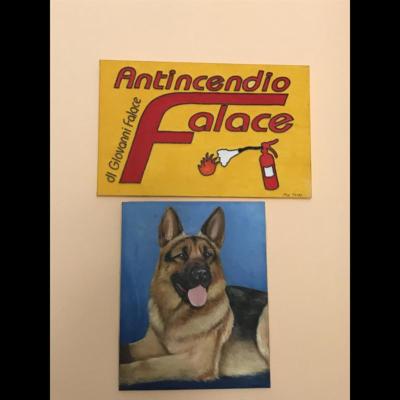 Antincendio Falace  - Foto 7