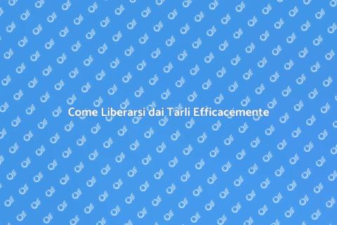 Disinfestare da Tarli: Guida Pratica