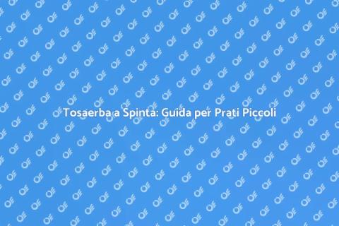 Tosaerba a Spinta per Prati Medi e Piccoli
