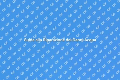 Riparazione Danni Acqua per la Casa