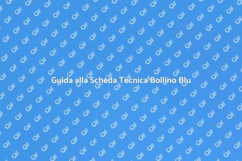 Bollino Blu Caldaia: Scheda Tecnica
