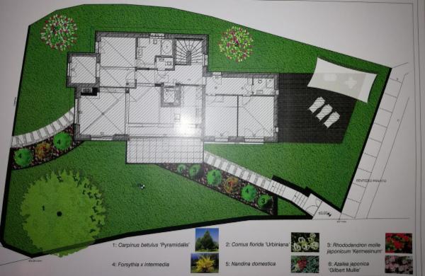 DeBo Giardini Di De Bortoli Carlo - Foto 12
