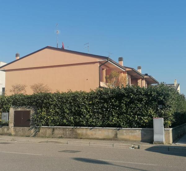 Raffaello M. - Foto 11
