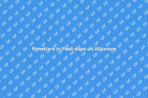 Riparazione Danni da Alluvione