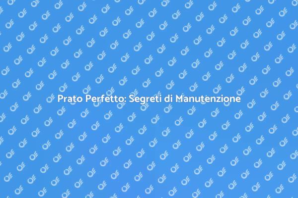 Manutenzione Prato: Consigli Utili