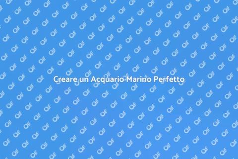 Acquario Marino: Guida Completa