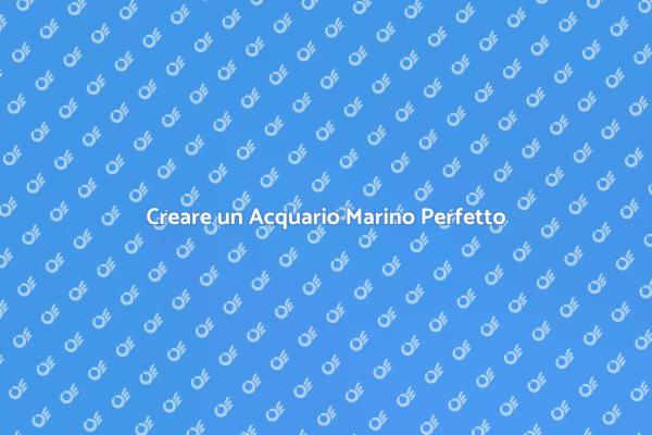 Trasforma la tua Casa con un Acquario