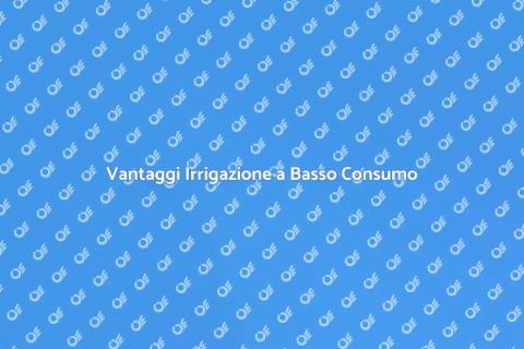 Impianto Irrigazione Basso Consumo