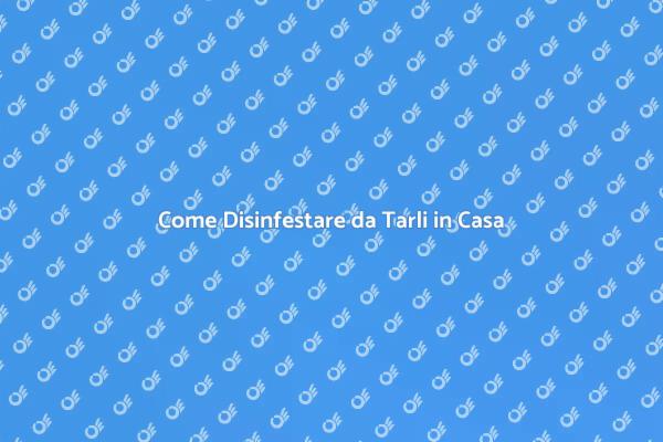Combatti i Tarli: Soluzioni Efficaci