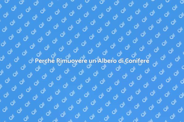 Rimozione di Conifere: Una Scelta Necessaria