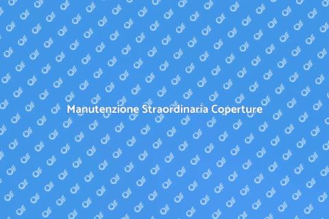 Manutenzione Coperture Industriali