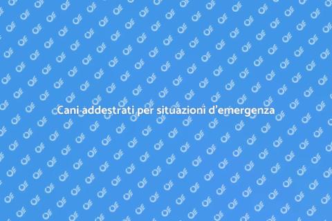 Allenamento cani per emergenze