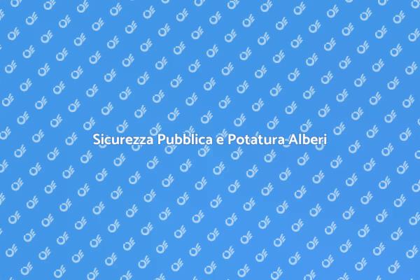 Potatura Alberi: Sicurezza Prima di Tutto