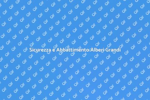 Abbattimento Alberi Grandi: Guida Essenziale