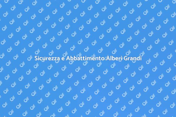 Abbattimento Sicuro degli Alberi Grandi