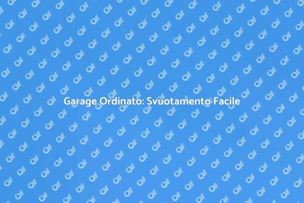 Liberati del Caos nel Tuo Garage