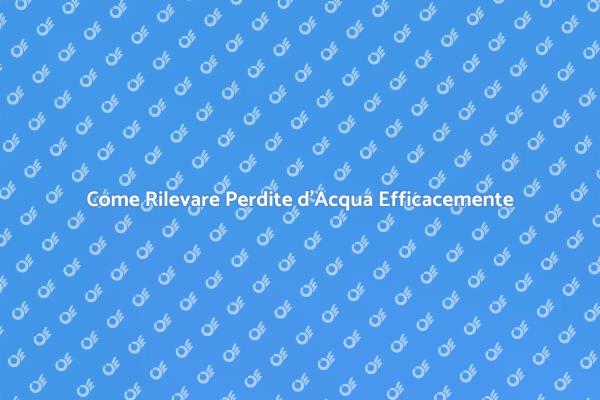 Identificare Perdite d'Acqua in Casa