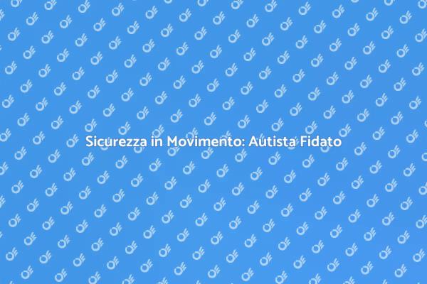 Sicurezza e Comfort con Autista Fidato