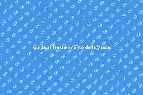 Trasferire la Vasca: Guida Pratica