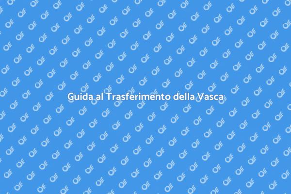Riorganizza la tua Vasca senza Stress