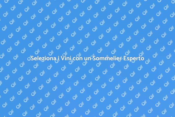 L'Arte della Selezione Vini con un Sommelier