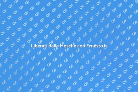 Disinfestazione Efficace dalle Mosche