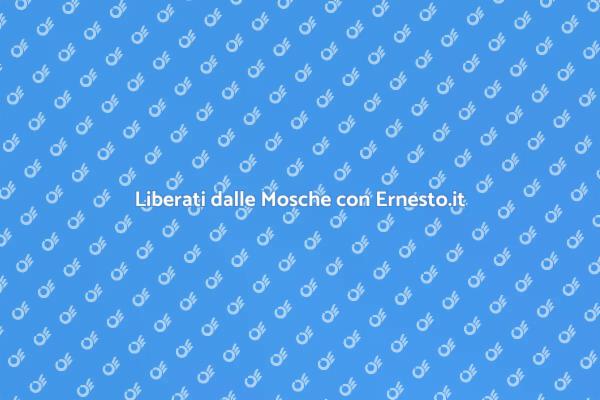 Disinfestazione Mosche: Scopri come!