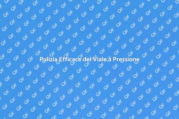 Il Viale Brillante con Lavaggio a Pressione