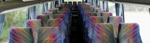 Lollibus  - Foto 8