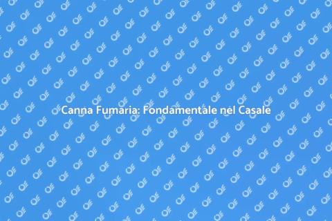 Installazione Canna Fumaria Casale