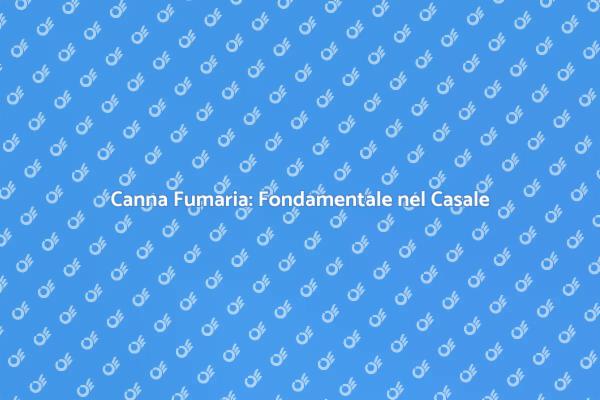 Canna Fumaria: Sicurezza e Stile