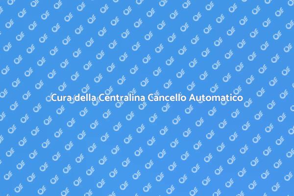 Importanza della Manutenzione della Centralina
