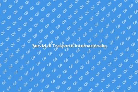 Trasporti Internazionali Affidabili