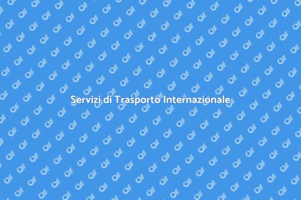 Trasporti Internazionali: La Tua Guida