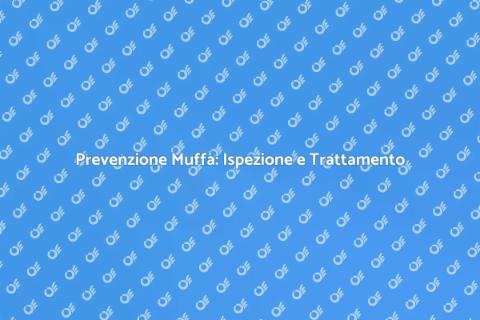 Ispezione e Trattamento Antimuffa