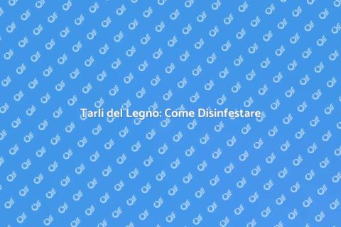 Disinfestazione Tarli del Legno Essenziale
