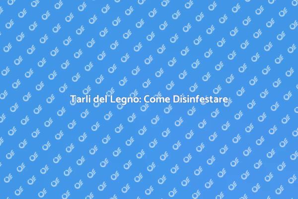 Combatti i Tarli del Legno Efficacemente