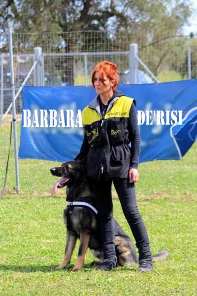 Wolf In Dog di Barbara de Risi - Foto 17