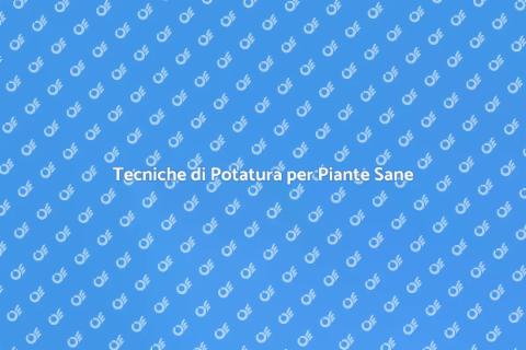 Potatura Accurata per Giardini Fiorenti