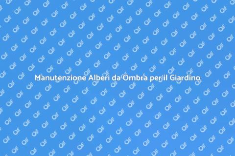 Alberi da Ombra: Manutenzione Essenziale
