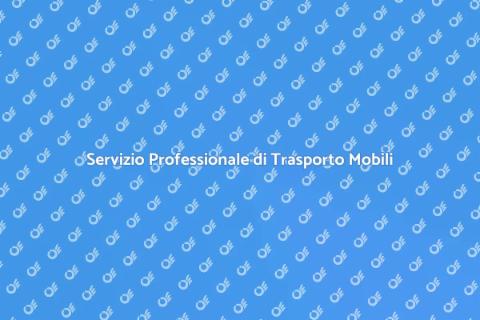 Trasporto e Deposito Mobili Efficace
