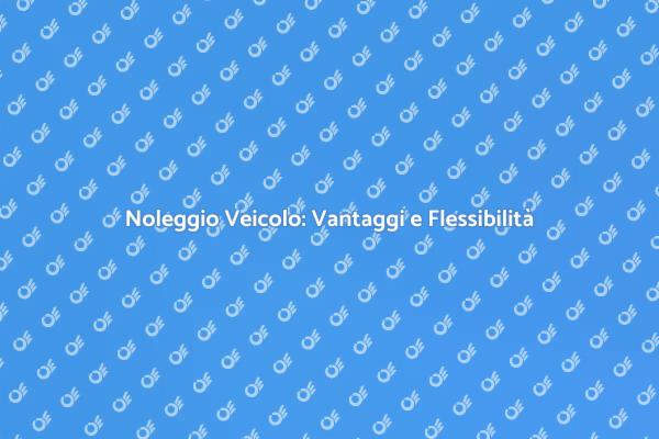 Noleggio Veicolo: Soluzione Ideale